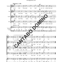 Mandatum Antiphons (Complete Set)